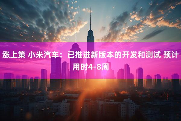 涨上策 小米汽车：已推进新版本的开发和测试 预计用时4-8周