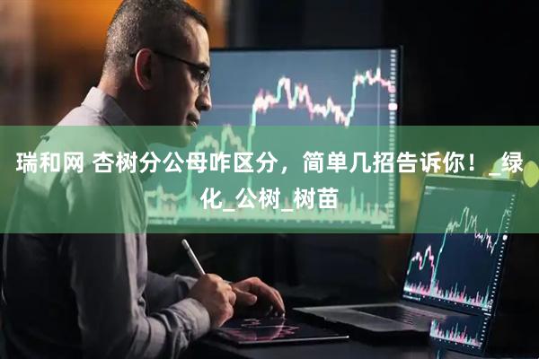 瑞和网 杏树分公母咋区分，简单几招告诉你！_绿化_公树_树苗