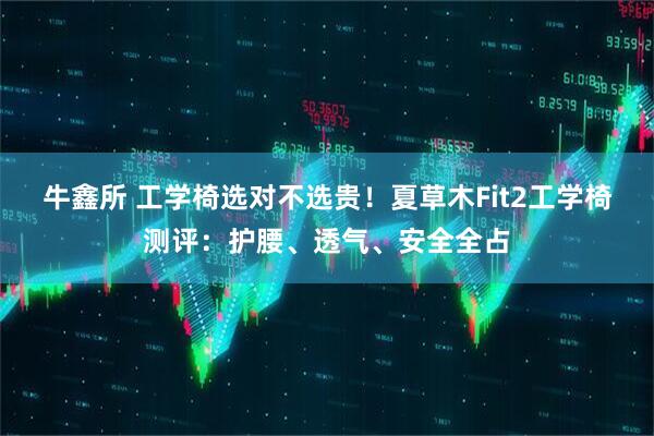 牛鑫所 工学椅选对不选贵！夏草木Fit2工学椅测评：护腰、透气、安全全占