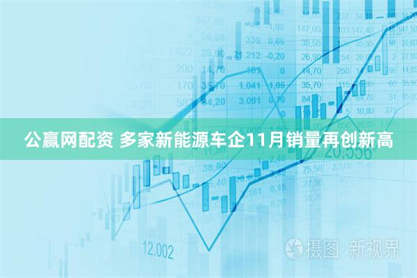 公赢网配资 多家新能源车企11月销量再创新高