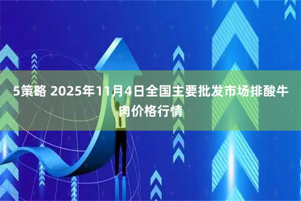 5策略 2025年11月4日全国主要批发市场排酸牛肉价格行情