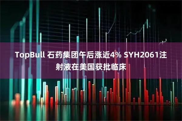 TopBull 石药集团午后涨近4% SYH2061注射液在美国获批临床